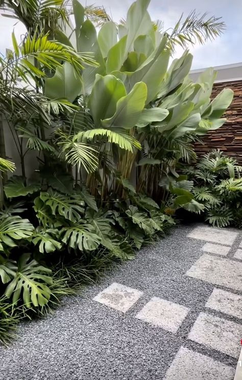 Whether you seek a vibrant escape or a place to find inspiration, our Tropical Garden Design Landscaping is a testament to the endless beauty that nature can offer. #TropicalGarden #LandscapingDesign #ExoticFlora #NatureInspired #BotanicalParadise #GardenEscape #TropicalOasis #LushFoliage #RelaxationRetreat #HorticultureMagic Tropical Backyard Landscaping, Vertikal Garden, Bali Garden, Tropical Landscape Design, Tanaman Pot, Tropical Garden Design, Gardening Projects, Tropical Backyard, Modern Backyard Landscaping