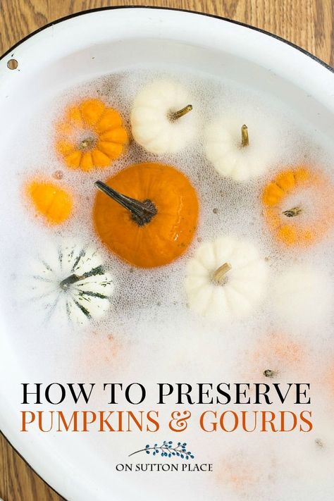 How To Preserve Pumpkins, Preserve Pumpkins, Preserving Pumpkins, Porche Halloween, Pumpkins And Gourds, How To Make Pumpkin, Fall Deco, Autumn Decorating, Fall Decor Ideas