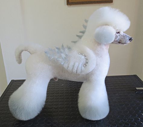 White Poodle Haircut Styles, Coat Carving Dog Grooming, Poodle Puppy Cut, Poodle Haircuts, Poodle Haircut Styles, Dog Dye, Poodle Hair, Poodle Haircut, Dog Grooming Styles