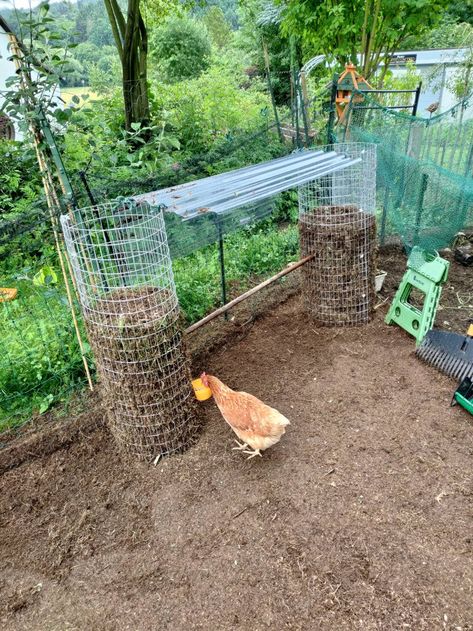 Chicken Coop And Veggie Patch, Chicken Run Backyard, No Dig Chicken Run, Garden By Chicken Coop, Fairy Chicken Coop, Chook House Ideas, Chicken Run Add On, Tire Chicken Coop, Covered Chicken Run Ideas Diy