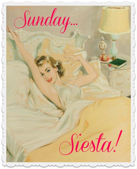 Sunday Siesta | Brocantehome Stars D'hollywood, Overnight Beauty, Sunday Quotes, Lazy Sunday, American Beauty, Sunday Funday, Sunday Morning, Happy Sunday, Make Me Smile