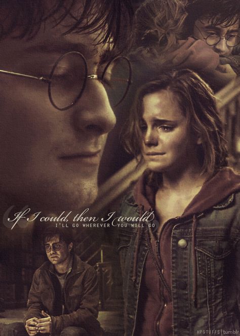 Harmony Harry Potter, Harry Potter Stuff, Aesthetic Harry Potter, Harry Potter Always, Wherever You Will Go, Harry Hermione, Harry And Hermione, Harry Potter Hermione Granger, Harry Potter Scene