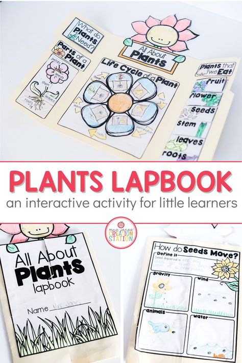 Life Science First Grade, Plants First Grade Science, Teaching Plants In First Grade, All About Plants Kindergarten, Plant Life Cycle Activities 2nd Grade, Seed Lessons For Kids, Plant Craft Kindergarten, Plant Lessons For Kindergarten, Plant Activities For First Grade