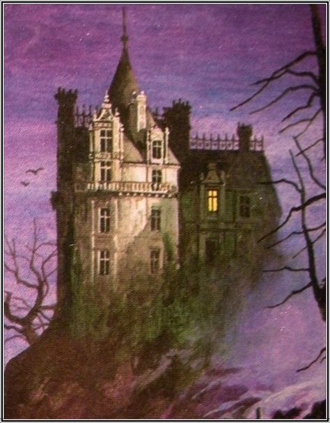 The Castle Of Otranto, Gothic Romance Books, Spooky Castles, Gothic Books, Gothic Castle, Gothic Novel, Spooky House, Gothic Romance, Hauntingly Beautiful