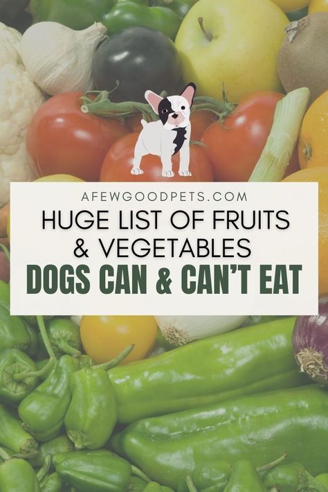 Veggies For Dogs Safe, Dog Food Vegetables, Dog Friendly Fruits And Veggies, Vegetables Safe For Dogs, Fruit For Dogs Healthy, Fruit That Dogs Can Eat, Vegetables Dogs Can Have, Vegetables For Dogs Safe, Fruits For Dogs Healthy