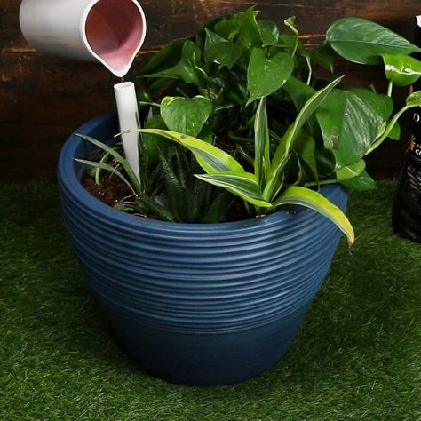 #gardening #gardenhacks #gardeningforbeginners Diy Self Watering Planter Potted Plants, How To Make A Self Watering Planter, Plant Watering Hacks, Self Watering Planter Diy, Upcycle Planters, Small Garden Hacks, Self Watering Garden, Diy Self Watering, Diy Self Watering Planter