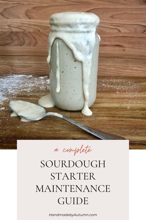 Come and learn how to take care of your very own sourdough starter! Here, you can find information on how to care for, feed, and maintain your starter. There are also answers to a plethora of my most asked questions- making this the perfect guide to any beginner sourdough starter caretaker! I hope you enjoy! Sourdough Starter Feeding, Beginner Sourdough, Types Of Flour, Sourdough Baking, Savoury Baking, Sourdough Recipes, Sourdough Starter, Sourdough Bread, Sweet Savory