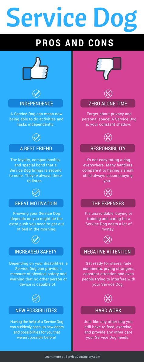 Service Dogs aren't all fun and games. There are up and downsides to being a handler.   Learn more in our Service Dog Pros and Cons Infographic: Service Dogs Breeds, Dog Infographic, Psychiatric Service Dog, Detection Dogs, Service Dogs Gear, Service Dog Training, Emotional Support Dog, House Training Dogs, Assistance Dog