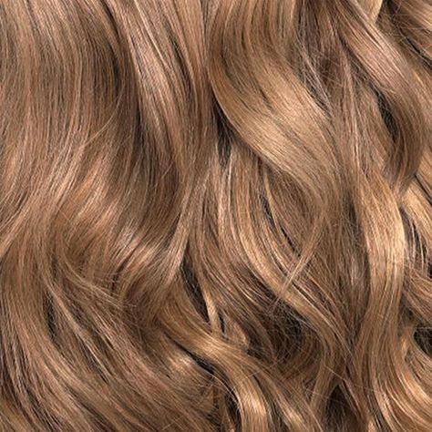 8.0 Professional Hair Color Brands, Chocolate Blonde, Natural Dark Blonde, Ammonia Free Hair Color, Natural Ash Blonde, Wella Koleston, Hair Color Brands, Professional Hair Color, Chocolate Hair