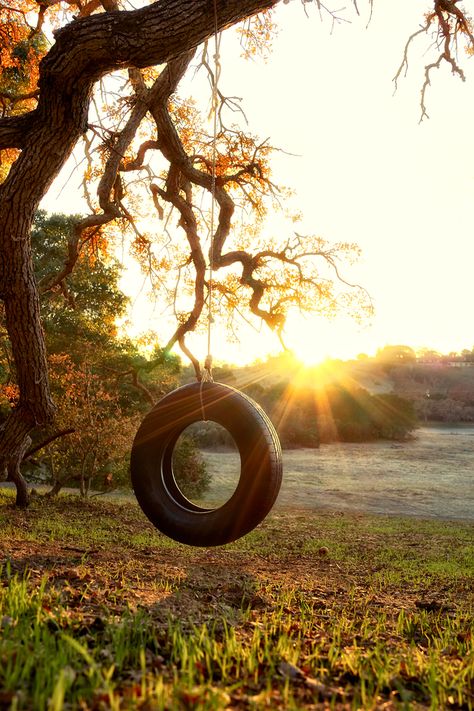 Tire Swing Swing Drawing, Peter Adams, Tire Swings, Country Photography, Backyard Swings, Tire Swing, Future Of Work, Swing Design, Front Porch Signs