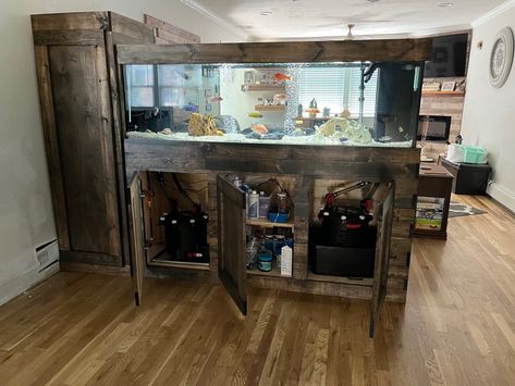 Fish Tank Room, Tortoise Enclosure, Aquarium Set, Aquarium Stand, Diy Aquarium, Aquatic Plants, Aquariums, Fish Tank, Liquor Cabinet