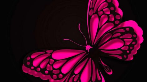 HD Wallpaper Pink Butterfly - Best Wallpaper HD Butterfly Screen Saver, Pink Butterfly Wallpaper, Butterfly Wallpapers, Mac Wallpapers, Pink Mobile, Beautiful Butterfly Pictures, Jelly Wallpaper, Butterfly Wallpaper Backgrounds, Butterfly Background