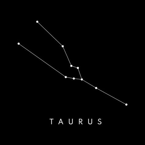 Taurus Journal, Archer Tattoo, Taurus Constellation Tattoo, Constellation Piercings, Storm In A Teacup, Virgo And Taurus, Taurus Constellation, Taurus Tattoos, Small Tattoos Simple