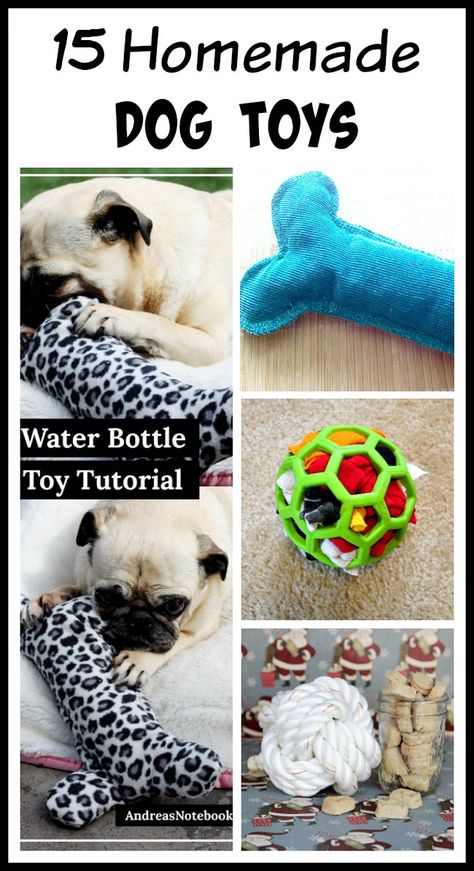 Homemade Dog Toys, Dogs Diy Projects, Diy Pet Toys, Puppy Obedience Training, Diy Dog Toys, Dog Diy, Basic Dog Training, Dog Enrichment, Best Dog Toys