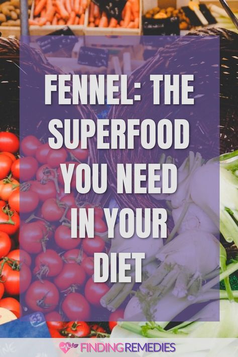 Fennel: The Superfood You Need in Your Diet Fennel Health Benefits, Benefits Of Fennel, Fruit Health Benefits, Fruit Benefits, Seafood Appetizers, Aromatic Herbs, Reduce Food Waste, Natural Remedy, Health Check