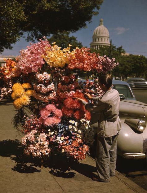 Flower Vendor, Flower Seller, Vintage Cuba, Cuba Photography, Afro Cuban, Cuban Art, Guys And Dolls, Havana Cuba, Vintage Landscape