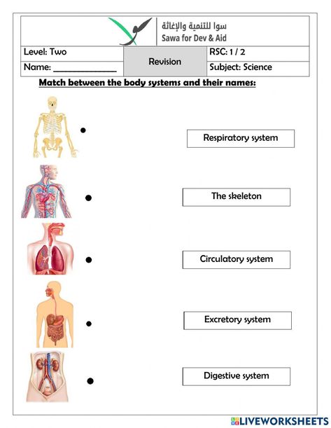 Body Systems Worksheets, Skeletal System Worksheet, Biology Worksheet, Worksheets For Grade 3, Teachers Resources, Science Notebook, Interactive Science, Barbie Coloring Pages, Barbie Coloring