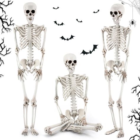 PRICES MAY VARY. Halloween Skeleton Set: you will receive 3 pieces of Halloween full size skeletons, they measure about 5 ft/ 165 cm from the top of the head to the toe, enough quantity and suitable size for indoor and outdoor decorations, they will add pleasant ambiance and charm to your Halloween decorations Enjoy DIY Fun: our Halloween life size skeleton is relatively small, you can give it DIY dress decoration, use your creativity and imagination to give them a different look, to carry out H Outdoor Skeleton, Life Size Skeleton, Halloween Lawn Decorations, Lawn Party Decorations, Scary Haunted House, Halloween Lawn, Spider Web Decoration, Plastic Skeleton, Halloween Skeleton Decorations