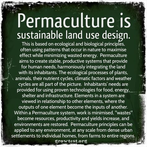 Permaculture definition Urban Permaculture, Living Structures, Nutrient Cycle, Permaculture Principles, Wildlife Garden, Garden Growing, Permaculture Gardening, Permaculture Design, Gardening Hacks