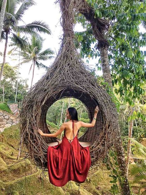 You will human-sized birds nests littered throughout Ubud. Lombok Travel, Places In Bali, Bali Travel Photography, Bali Waterfalls, Inspired Photos, Hotel Secrets, Travel Bali, Asian Travel, Instagram Places