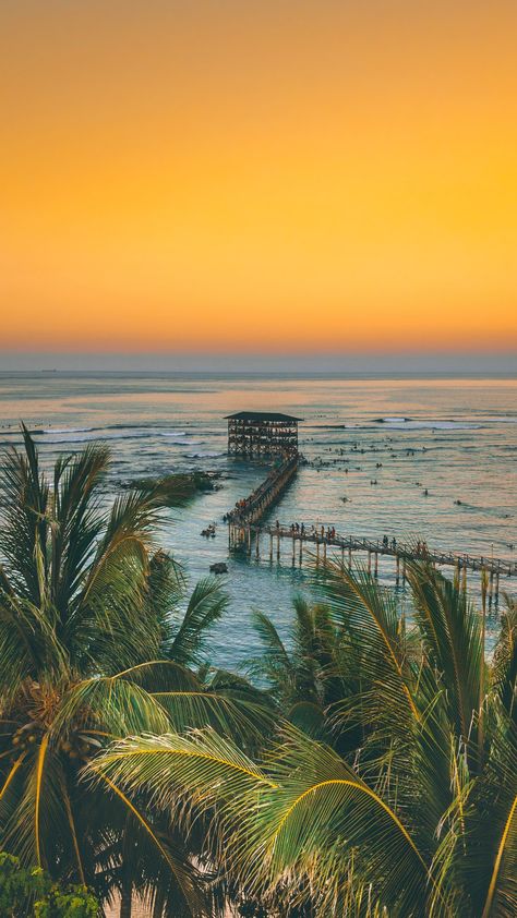 Siargao Island, Siargao, Philippines Travel, Instagrammable Places, Coconut Tree, Best Beaches, Like Comment Share, Beautiful Places To Travel, Dream Destinations