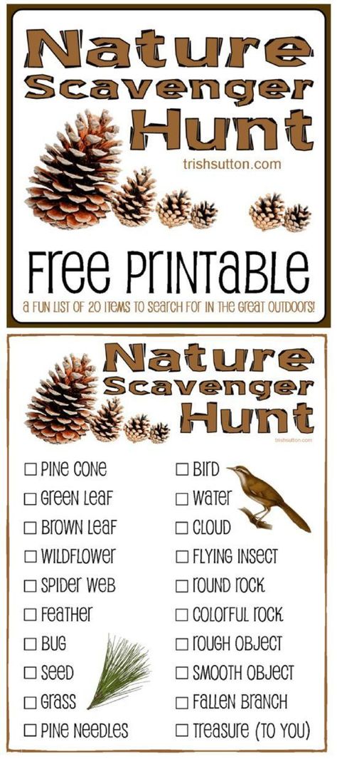 Nature Scavenger Hunt for Kids; Free Printable for youth group, camping, hiking, kids activities. TrishSutton.com Cheap Fall Crafts For Kids, Camping Hacks With Kids, Fall Scavenger Hunt, Nature Scavenger Hunt, Thanksgiving Games For Kids, Free Games For Kids, Fun Outdoor Games, Scavenger Hunt For Kids, Easy Fall Crafts