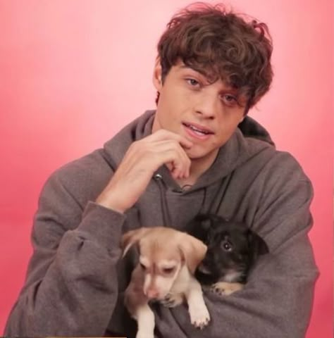 Noah Centineo