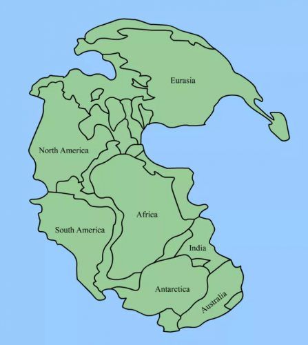 Use fossil and rock evidence to reconstruct how the Earth may have looked approximately 290 million years ago when the continents were connected to form a supercontinent called Pangea. #6th-8th #9th-12th #EasyScienceExperiments #EarlyChildhoodLearning #Homeschooling #ScienceAtHome #ScienceActivitiesForKids #InexpensiveScienceActivities Convection Currents, Dinosaur History, History Of Earth, Continental Drift, Continents And Oceans, Plate Tectonics, So Many People, Earth Science, North Africa