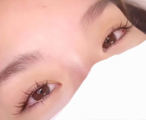 Eyelashes Individual Lashes Korean, Natural Manhua Lashes, Eyelash Extensions Small Eyes, Kpop Idol Lashes, Eyelash Claims For Dr, Kpop Lashes, Japanese Eyelash Extensions, Monolid Eyelash Extensions, Monolid Lash Extensions