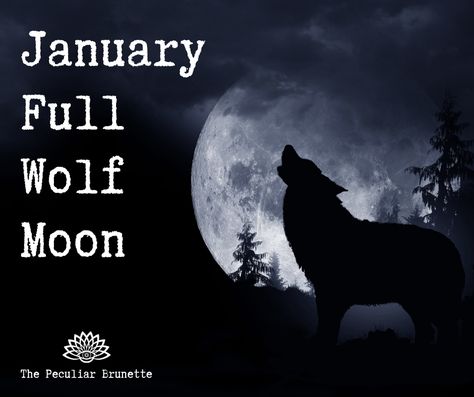 January Full Wolf Moon -Spiritual Meaning, Definition, and How To Celebrate - Wolf Moon Activities, Wolf Moon Ritual, January Magick, Wolf Moon Art, January Full Moon, Full Wolf Moon, Full Moon Wolf, Moon For Kids, January Moon