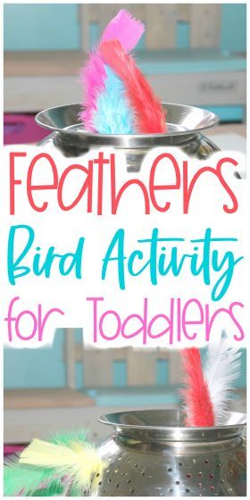 Practice hand eye coordination and fine motor skills with this Hidden Feathers Bird Activity for Toddlers. You're definitely going to want to check it out! #bird #preschool #feathers #toddlers Bird Preschool, Emergent Curriculum, Toddler Themes, Gross Motor Activity, Toddler Teacher, Lesson Plans For Toddlers, Activity For Toddlers, Hand Eye Coordination, Spring Animals