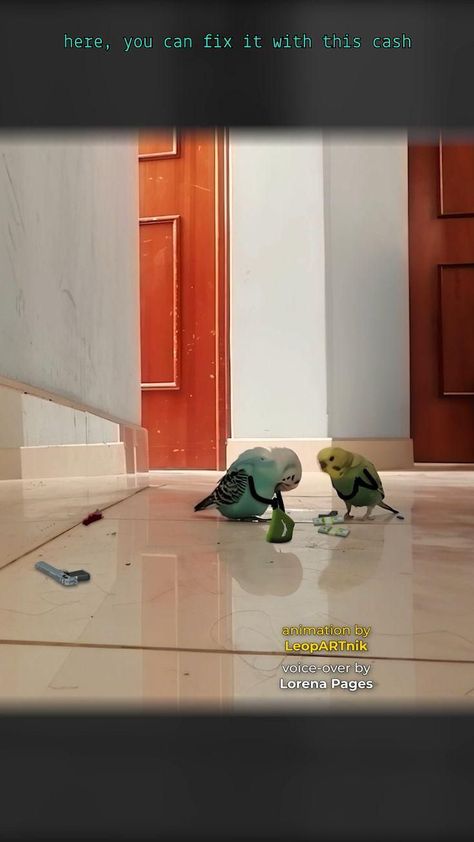 BUSTED Remastered (Sound On 🔈🔉🔊) [Video] in 2022 | Cute funny animals, Funny parrots, Funny animal jokes Parrots Funny, Beste Gif, Funny Parrots, Animals Funny, Funny Birds, Funny Animal Jokes, Baby Animals Funny, Funny Animal Memes, Funny Cute Cats