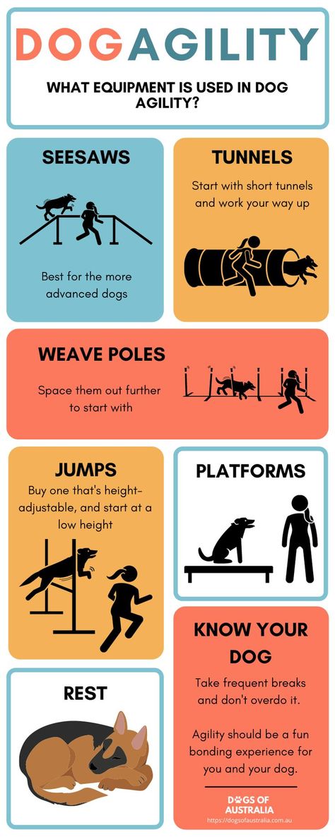 Dog Bonding Activities, Working Dog Training, Diy Dog Training Equipment, Diy Dog Treadmill, Diy Dog Agility Equipment, Dog Training Room, Dog Agility Diy, Dog Agility Course Diy, Dog Park Equipment