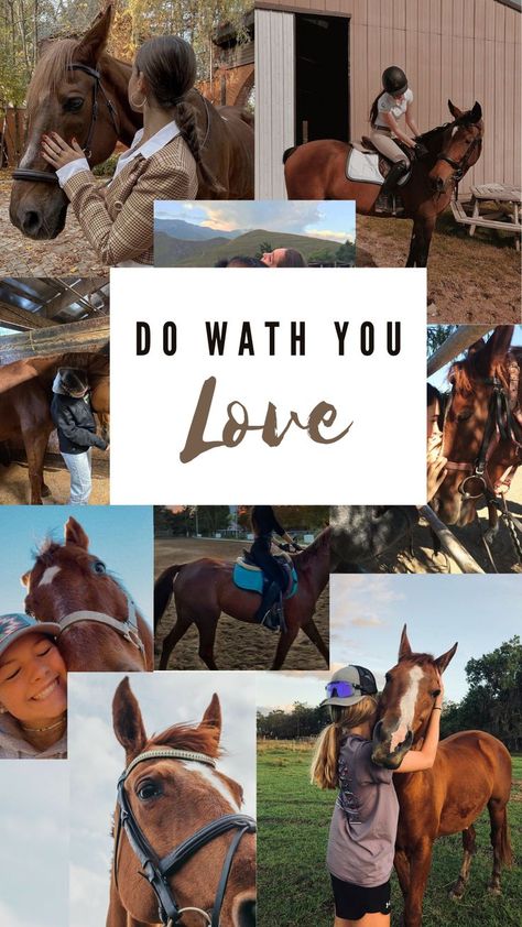 Photos With Horses, Horse Background, Horse Quotes Funny, Horse Riding Aesthetic, Animal Photography Wildlife, Pictures With Horses, Beautiful Horses Photography, 8 Mars, Equestrian Aesthetic