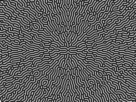 Reaction Diffusion pattern by Rodrigo Diaz Escalante Reaction Diffusion Pattern, Vermicular Pattern, Reaction Diffusion, Blackwork Patterns, Zen Doodle Art, Generative Design, Coin Design, Photo Texture, Textile Fiber Art