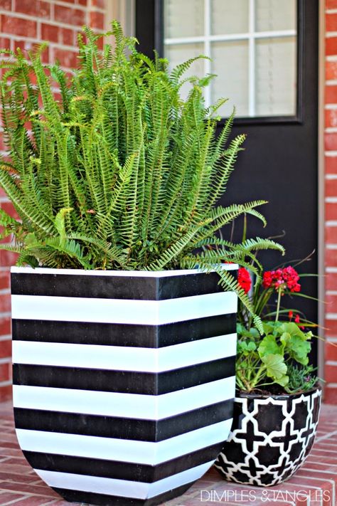 easy DIY black and white striped flower pots Black And White Planters, Front Porch Flowers, Porch Flowers, Porch Planters, Diy Outdoor Decor, Landscape Designs, White Planters, Homestead Survival, House With Porch