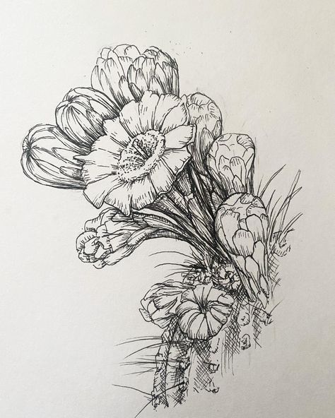 Flower Fine Line, Saguaro Cactus Blossom, Saguaro Flower, Arizona State Flower, Arizona Flower, Fine Line Drawing, Arizona Tattoo, Flower Tat, Wildflower Drawing