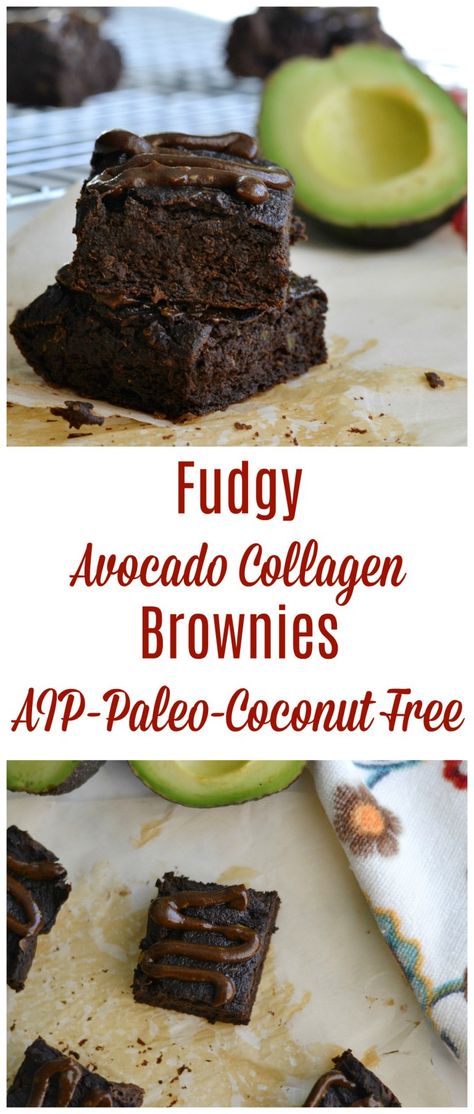 Fudgy Avocado Collagen Brownies (AIP/Paleo/Coconut Free) * Lichen Paleo, Loving AIP Raisin Cake, Banana Flour, Banane Plantain, Autoimmune Paleo Recipes, Aip Paleo Recipes, Aip Desserts, Carob Powder, Cake Mug, Aip Diet