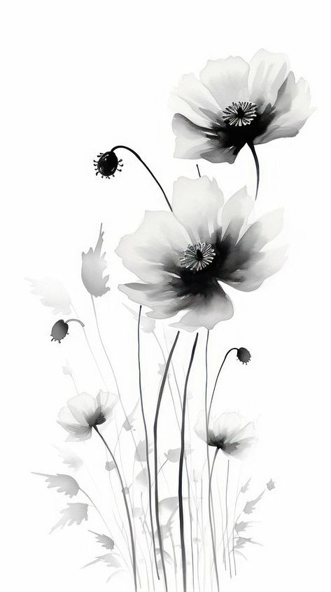 Flower drawing sketch petal. | premium image by rawpixel.com / Ake Flowers Background Drawing, Black Watercolor Painting, Poppy Black And White, Flower Drawing Sketch, Xray Flower, Adult Aesthetic, Poppy Drawing, Butterfly Art Painting, Scrapbook Flowers