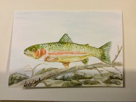 Rainbow Trout painting I painted for my dad :) #trout #fish #animal #rainbowtrout #art #watercolor #lindysrox  #lovemydad Rainbow Trout Painting, Trout Painting, Fish Animal, Trout Fish, Wooden Rainbow, I Love My Dad, Rainbow Trout, Watercolour Tutorials, Watercolor Drawing