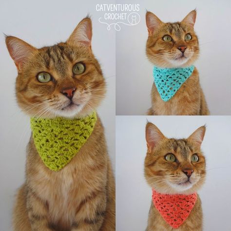 Crochet For Cats Pattern Free, Cat Scarf Pattern, Fun Crochet Patterns, Cat Hat Pattern, Gato Crochet, Crochet Collar Pattern, Crochet Hairband, Crochet Cat Hat, Crochet Dog Patterns