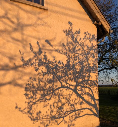 Light And Shadow Landscape, Tree Shadow Painting, Shadow Tree, Caravaggio Paintings, Window Shadow, Landscape Stairs, Shadows And Light, Shadow Painting, Natural Form Art