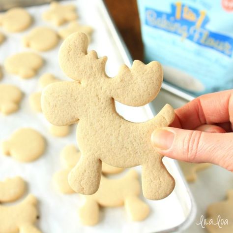 Vanilla Sugar Cookie Recipe, Roll Out Sugar Cookies, Gluten Free Sugar Cookies, Best Sugar Cookie Recipe, Chocolate Sugar Cookies, Vanilla Sugar Cookie, Gluten Free Christmas, Chewy Sugar Cookies, Sugar Cookie Recipe