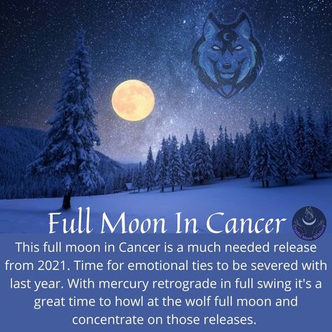 Our first full moon of the year. January Full Moon, Cold Moon, Mercury Retrograde, Wolf Moon, The Full Moon, Shadow Work, Full Moon, The Year, Celestial Bodies