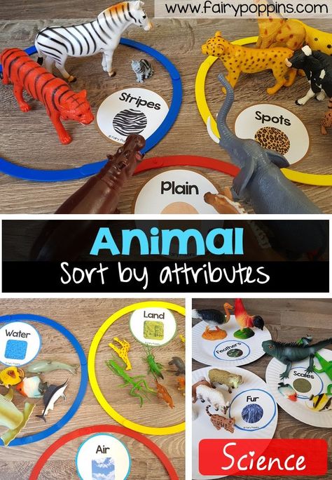 Animal sort and classify labels, mats and worksheet activities ~ Fairy Poppins Fairy Poppins, تصنيف الحيوانات, Zoo Animals Preschool, Jungle Activities, Aktiviti Tadika, Zoo Preschool, Animals Activities, Zoo Activities, Animal Activities For Kids