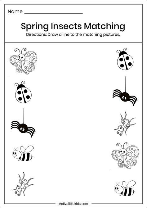 Download the free spring insects matching worksheet for preschool. Montessori Worksheets Preschool, Insect Theme Preschool Activities Free Printables, May Worksheets For Preschool, Spring Insects Preschool, Spring Worksheet For Preschool, Bug Learning Activities Preschool, Insect Matching Free Printable, Matching Sheets For Preschool, Bugs For Preschoolers