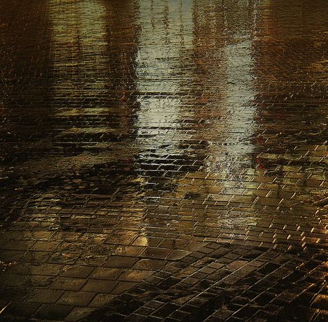 Wet Cobblestone, Lydia Davis, Rain Romance, Environmental Reference, Prayer For Rain, Rain Street, Morning Rain, Autumn Rain, Make It Rain