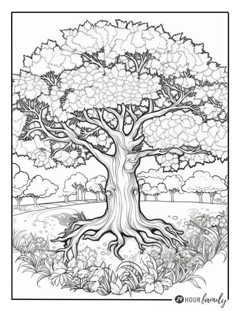 garden tree coloring pages Giant Tree Drawing, Spring Coloring Pages Free Printable, Free Spring Coloring Pages, Spring Coloring Pages For Kids, Printable Spring Coloring Pages, Spring Coloring Sheets, Nature Drawings, Tree Coloring, Giant Canvas