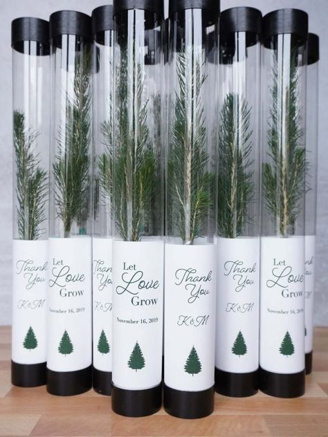 Where to Buy Tree Wedding Favors for Guests to Plant | Emmaline Bride Tree Wedding Favors, Photographer Client Gifts, Tree Favors, Let Love Grow, Bridal Shower Favor, Event Favors, Best Wedding Favors, Rustic Wedding Favors, Eco Friendly Wedding