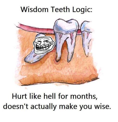 wisdom teeth Wisdom Teeth Meme, Wisdom Teeth Funny, Teeth Images, Teeth Surgery, Teeth Alignment, Wisdom Tooth Extraction, Teeth Dentist, Wisdom Teeth Removal, Tooth Removal